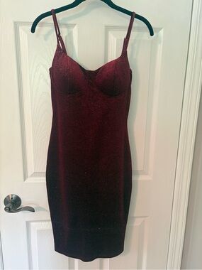 NWT Windsor Sparkling Burgundy Mini Dress